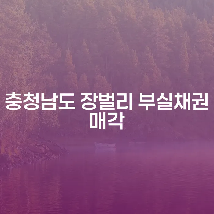 충청남도 장벌리 부실채권매각, 개인회생과 함께 해결할 수 있는 방법은?