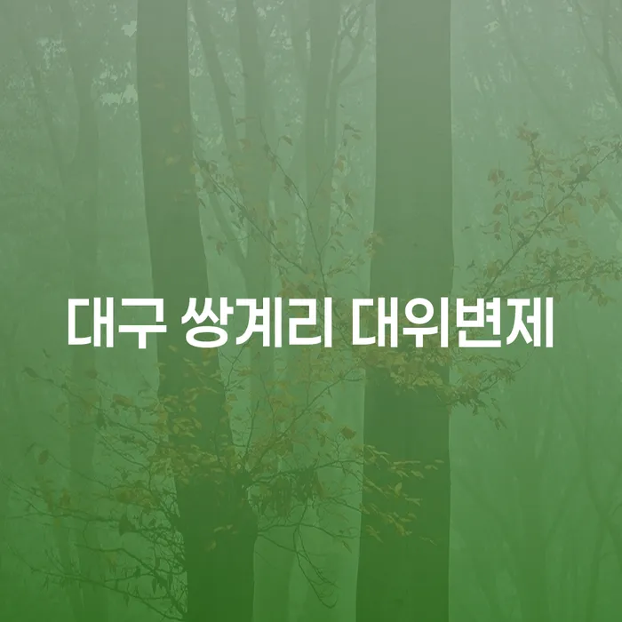 대구 쌍계리 대위변제란 무엇일까요? 채무 해결을 위한 올바른 길 찾기