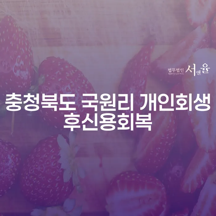 충청북도 국원리에서 개인회생 후 신용을 어떻게 회복할 수 있을까요?